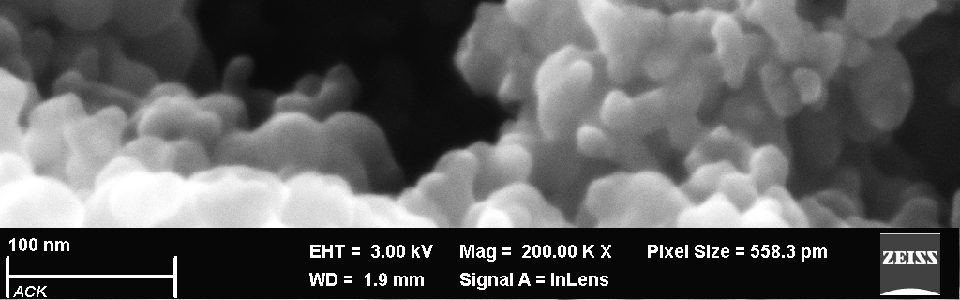 REM-Aufnahme von Carbon Nanohorns (CNHs)