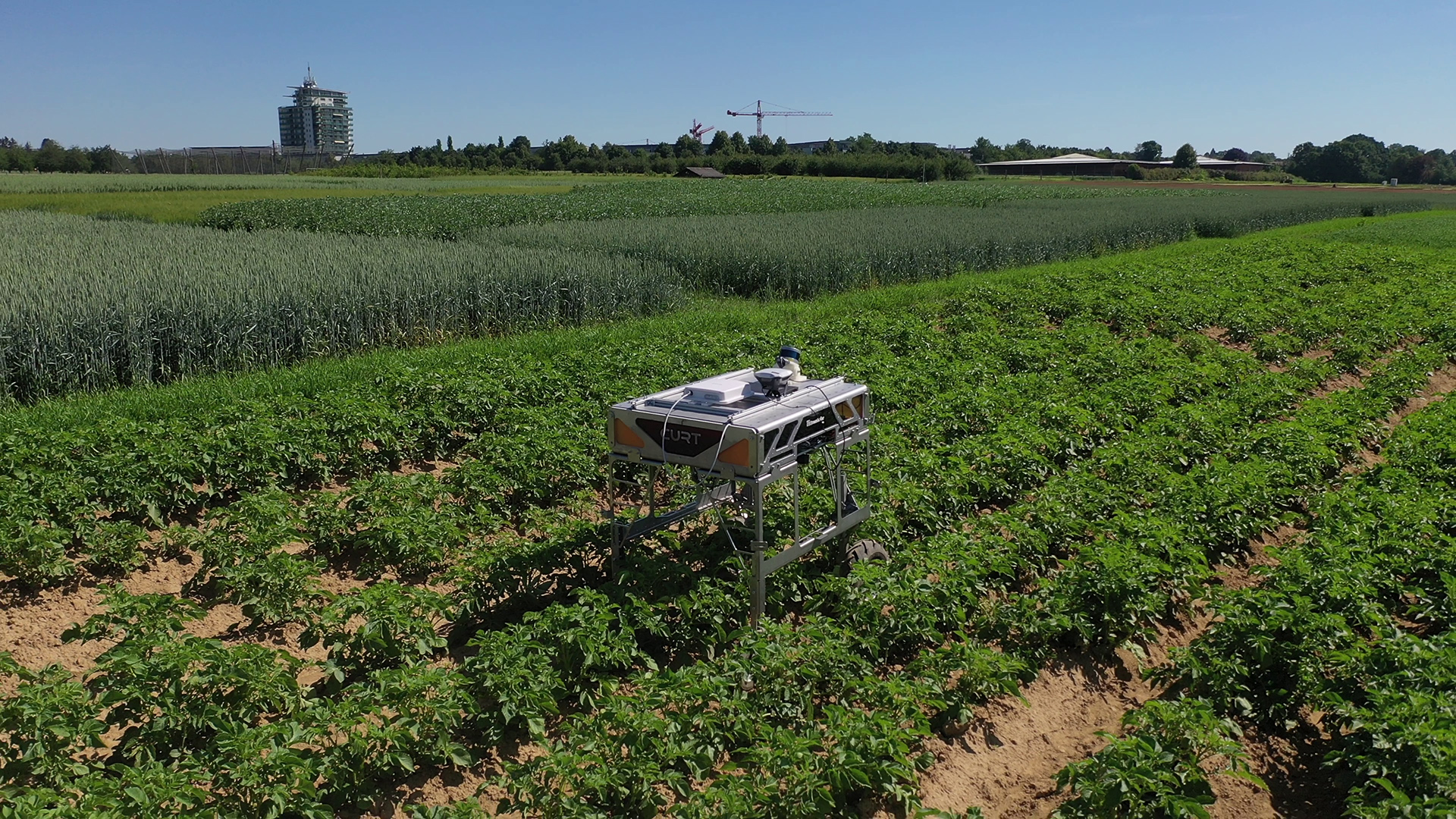 The robot CURTdiff can autonomously recognize and move along rows of crops