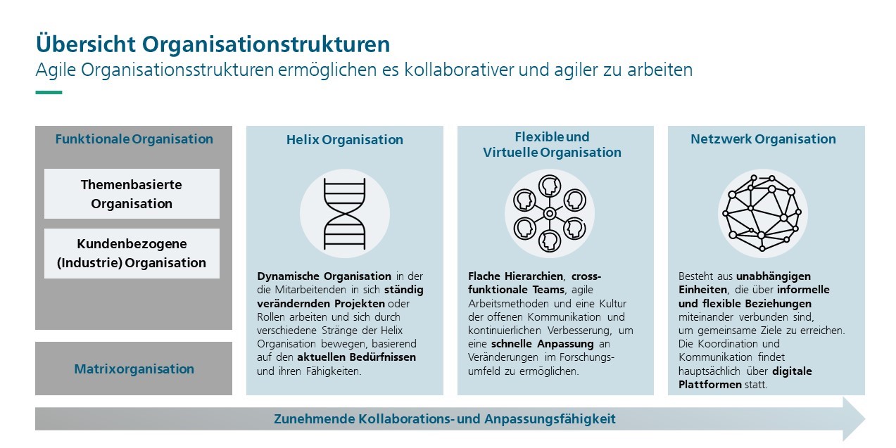 Übersicht Organisationstrukturen