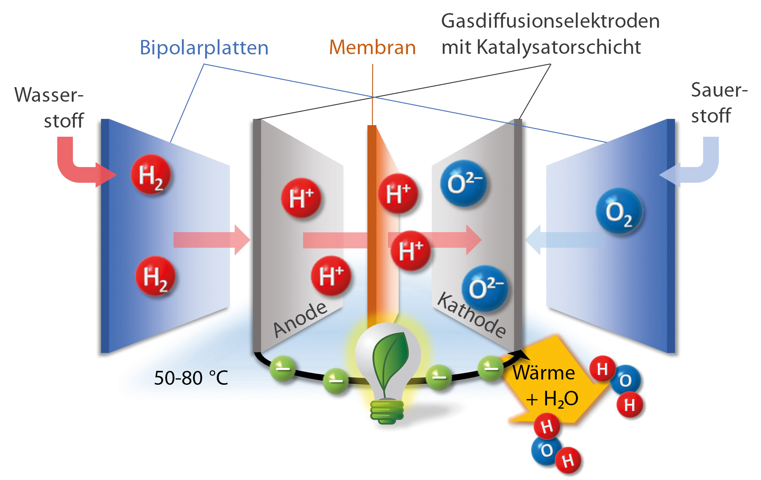 Schematische Darstellung der Funktionsweise einer Brennstoffzelle