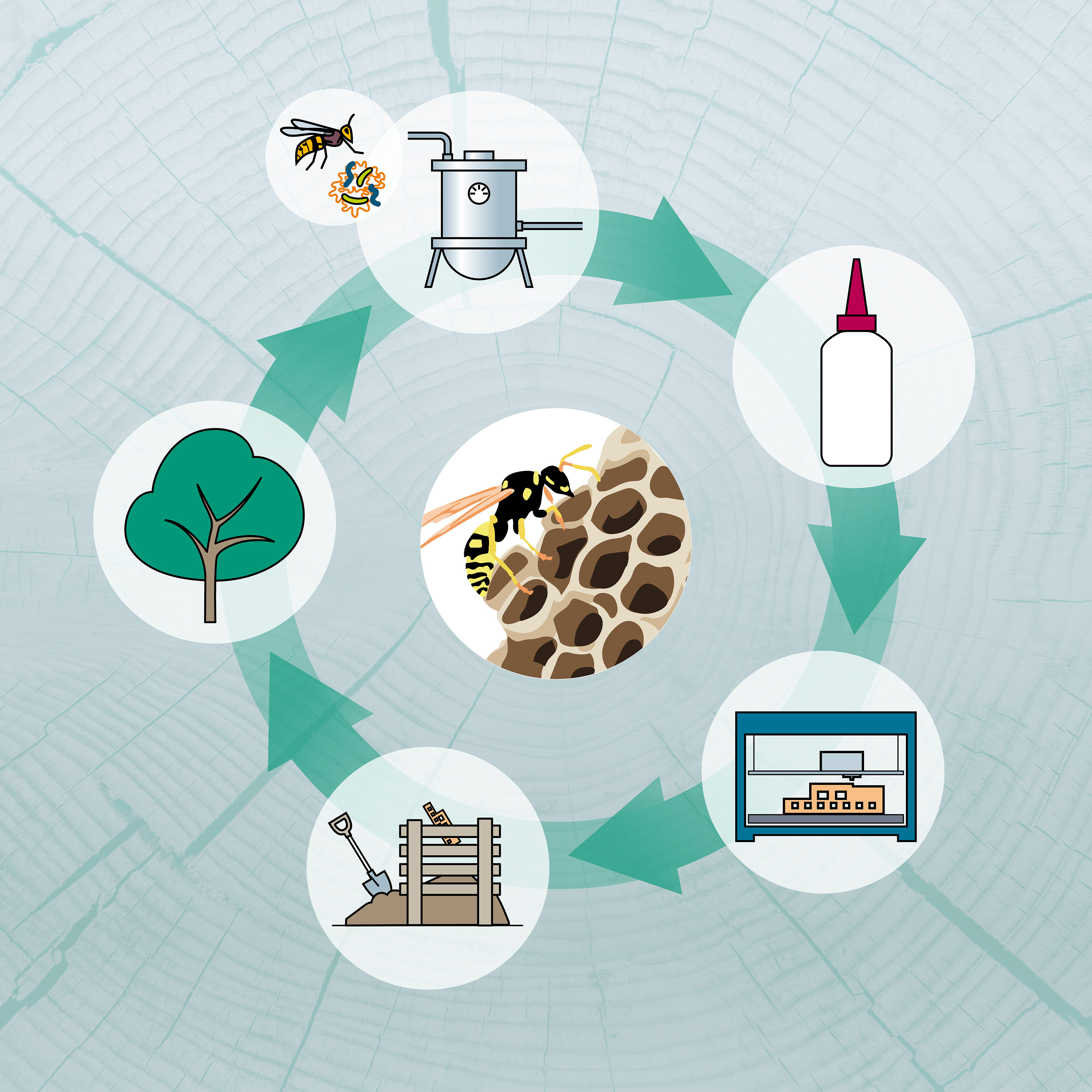 Kreislauf des biologischen Holzbinders