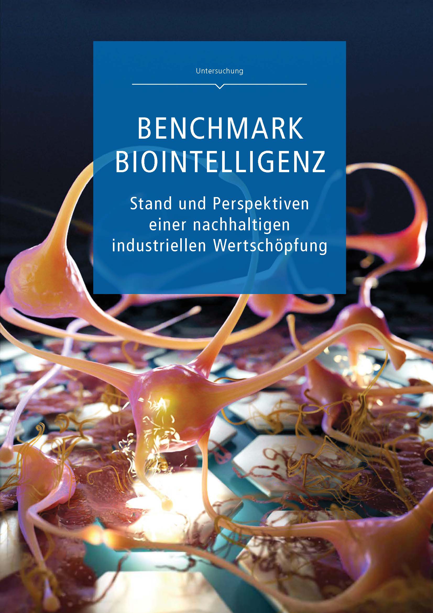 Titelseite der Internationalen Benchmarkuntersuchung Biointelligenz (InBenBio)
