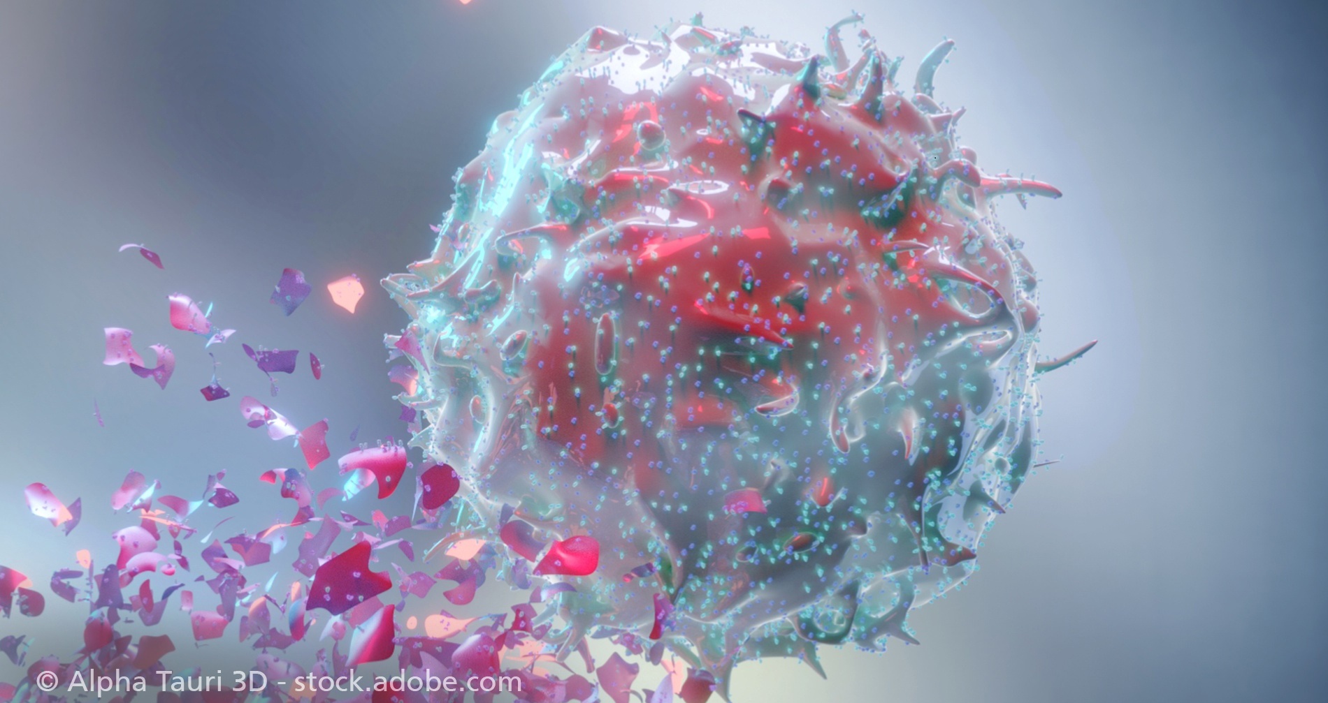 3D Rendering of Natural Killer NK Cell Destroying Cancer Cell