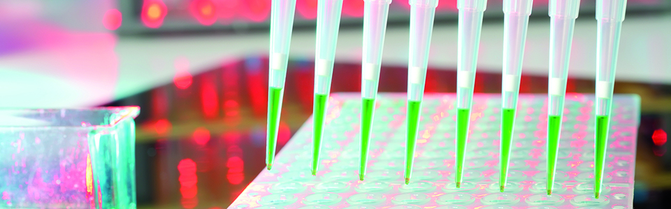 Loaded multipipette over a plate for DNA analysis