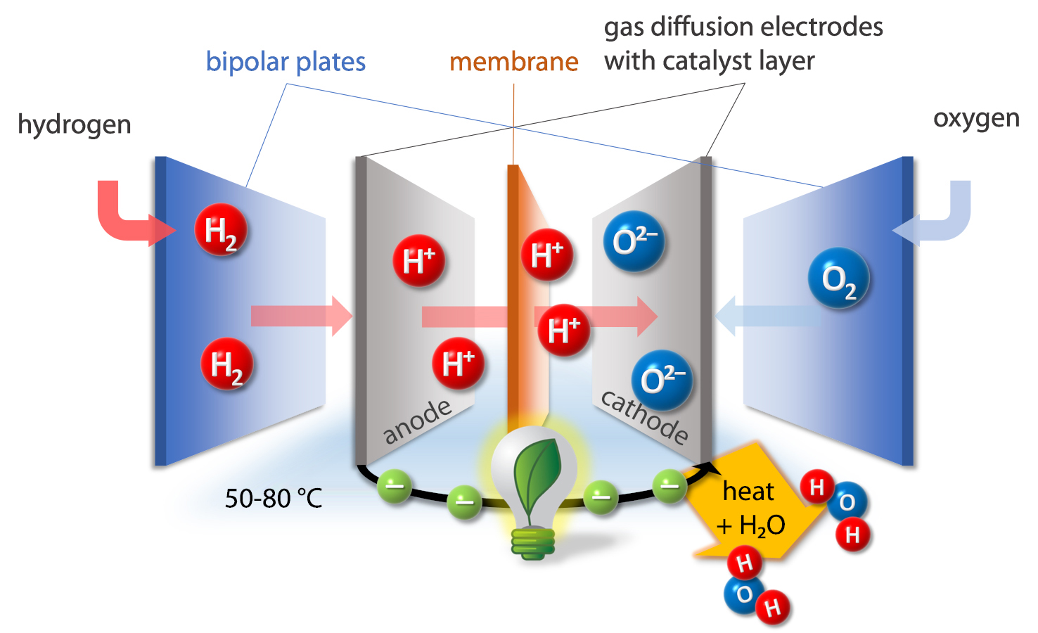 Construction of a fuel cell