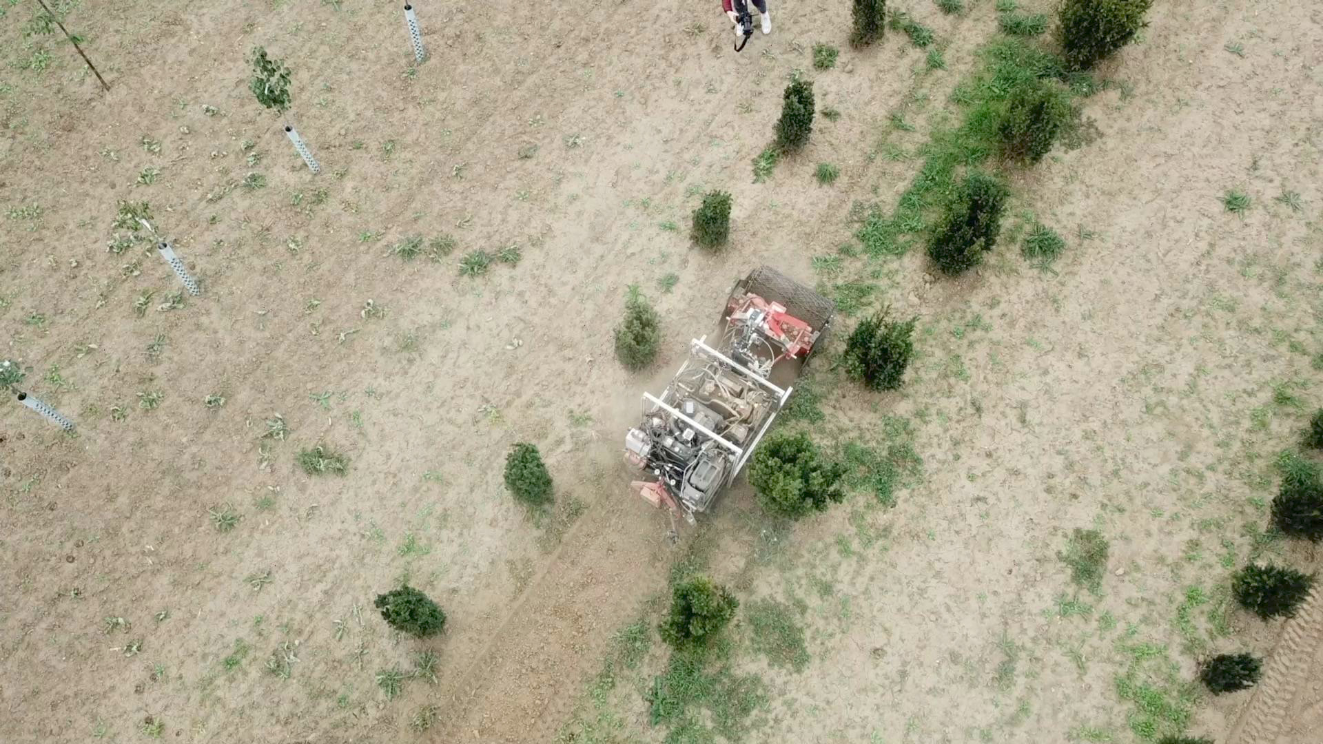  Agricultural robot takes over weed control in a tree nursery